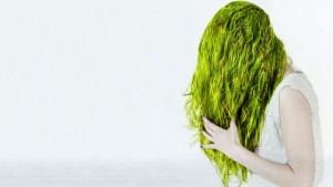 how-do-you-get-rid-of-green-hair-from-the-pool_fa1ca827-3e96-4b75-ba77-ff98e75de083